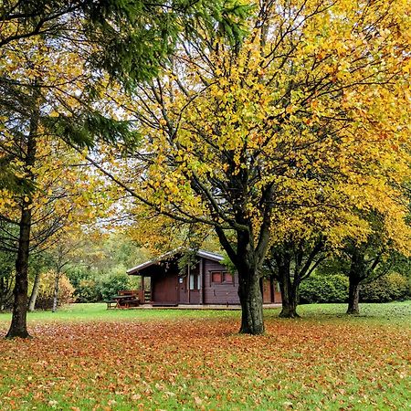 Pinecroft Lodges Ingleton  Esterno foto